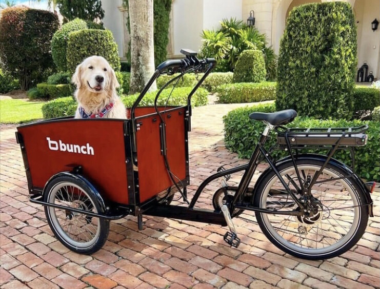 Traveling with your Pet