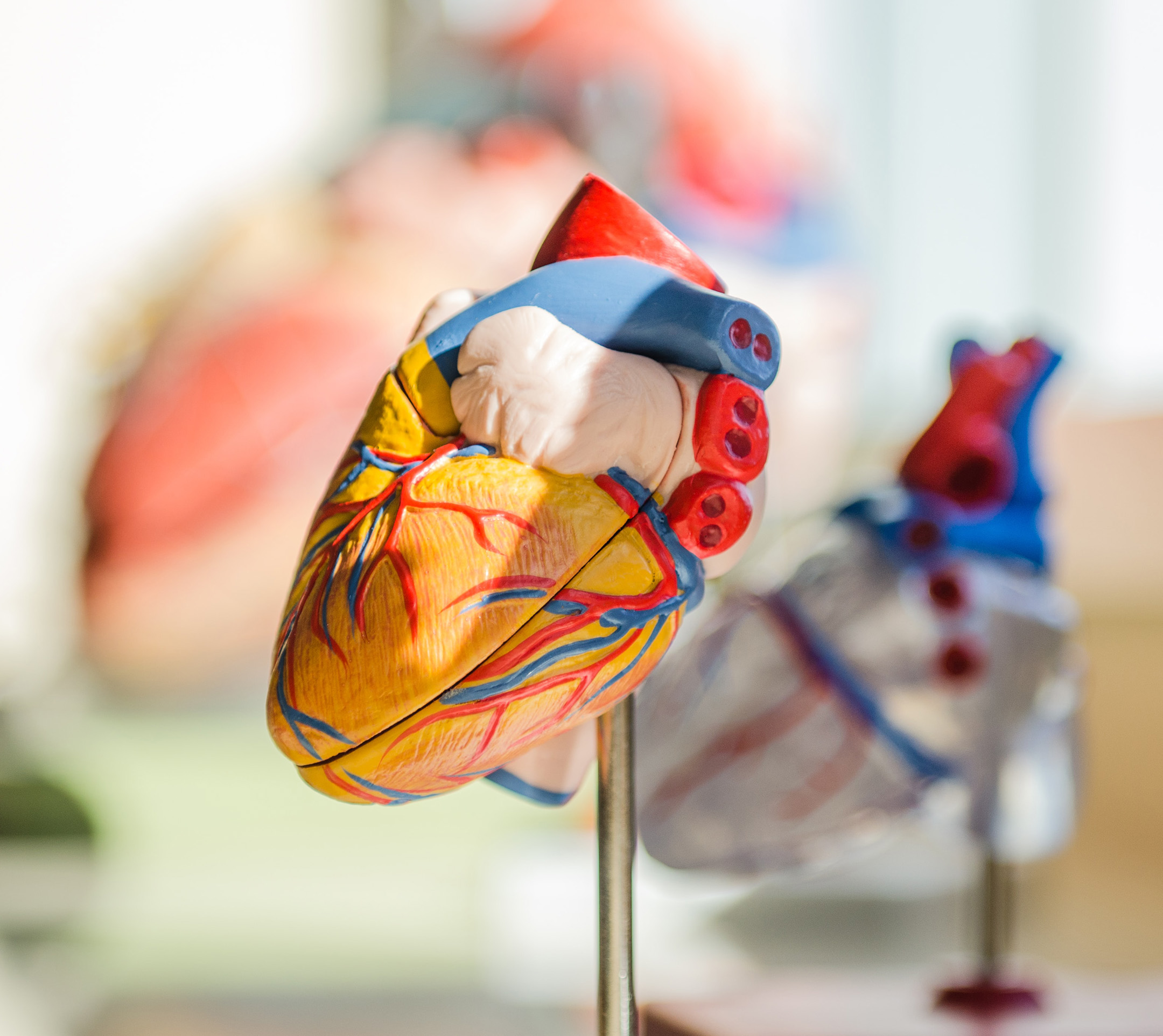 Ask a Health Care Professional – Coronary Artery Disease