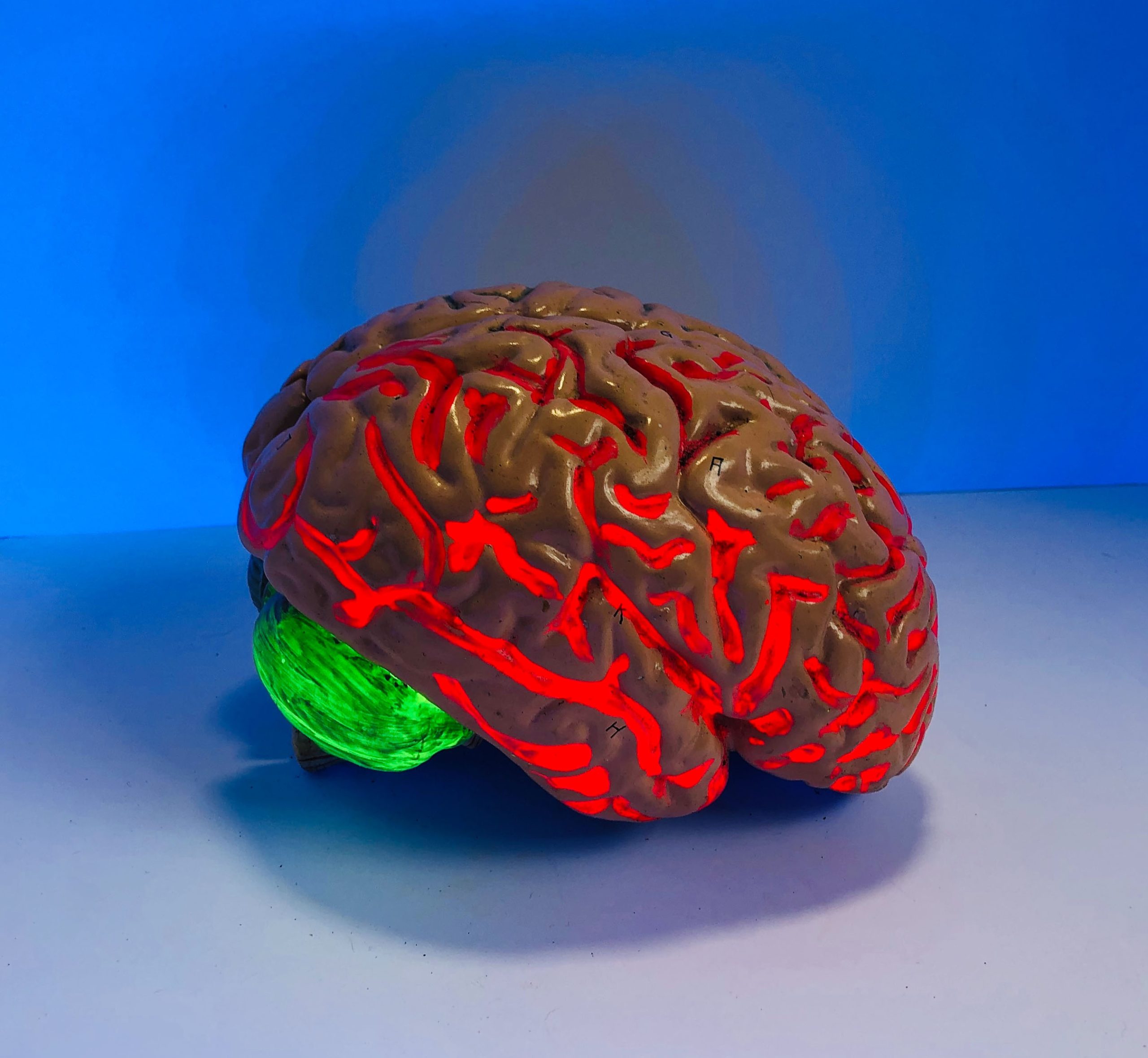 The Doctor Will See You Now – 10 Tips for a Healthier Brain