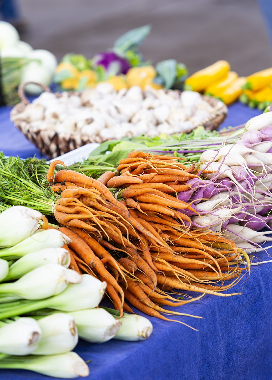 Journey to Health – September Celebrates Fruits and Vegetables